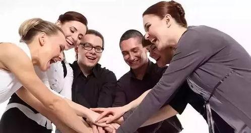 叉叉团队最新爆料,行业动态大揭秘！  第2张